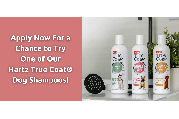 Free Hartz True Coat® Dog Shampoo