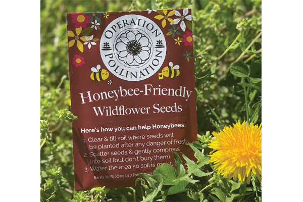 Free Honeybee Seeds