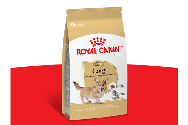 Free Royal Canin Dog Food