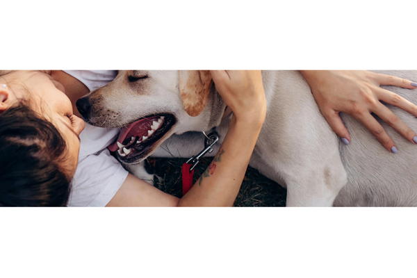 Win $100,000 from Purina